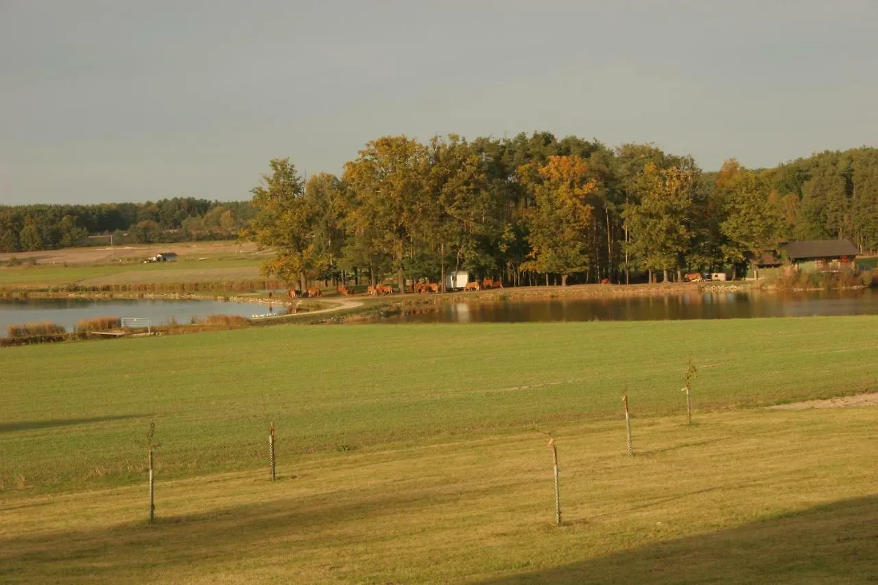 Holiday home Haeusla Villa Dannberg